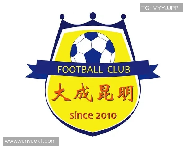 杭州足球队运营分析：成功经验与失误教训的深度剖析